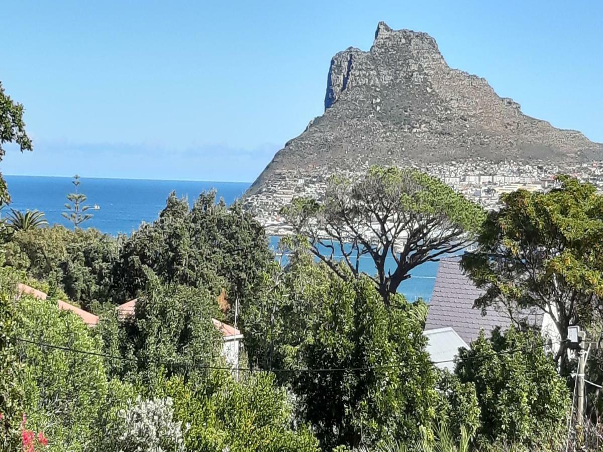 Hotel Hout Bay Hideaway Esterno foto