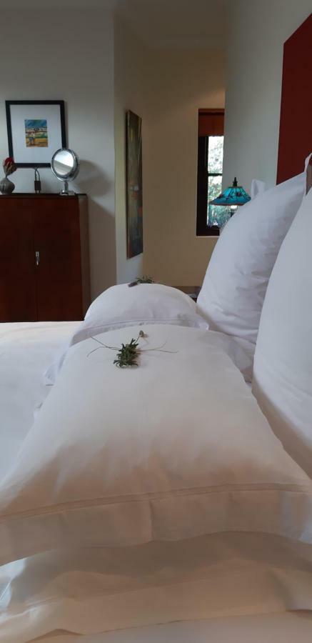 Hotel Hout Bay Hideaway Esterno foto